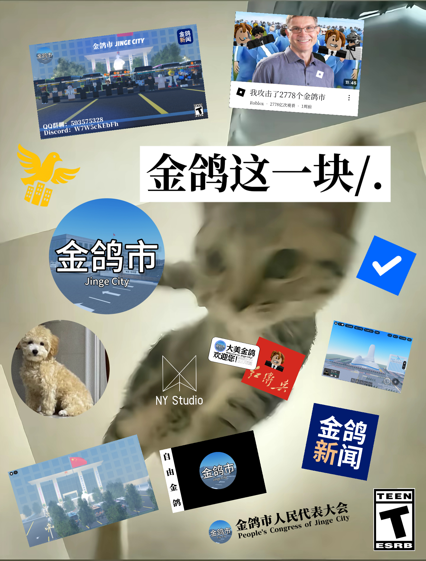 金鸽这一块-罗布论坛