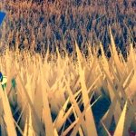 bosslaoda4的头像-罗布论坛