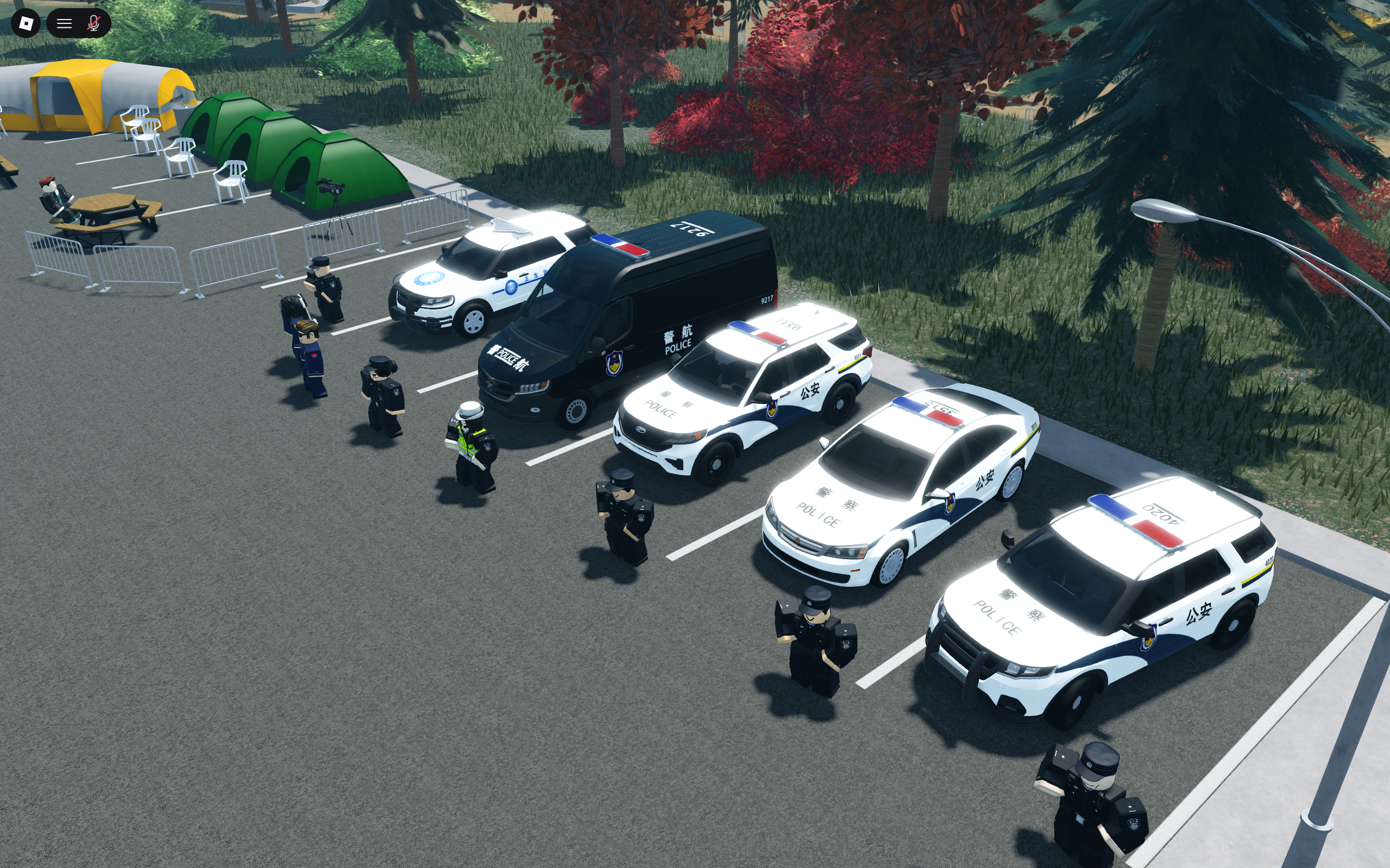 幻灯片-罗布论坛