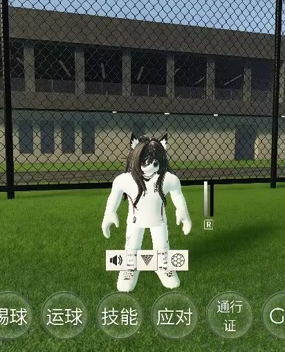 退役及转会通知-罗布论坛
