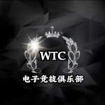 WTC电竞俱乐部的头像-方块社区